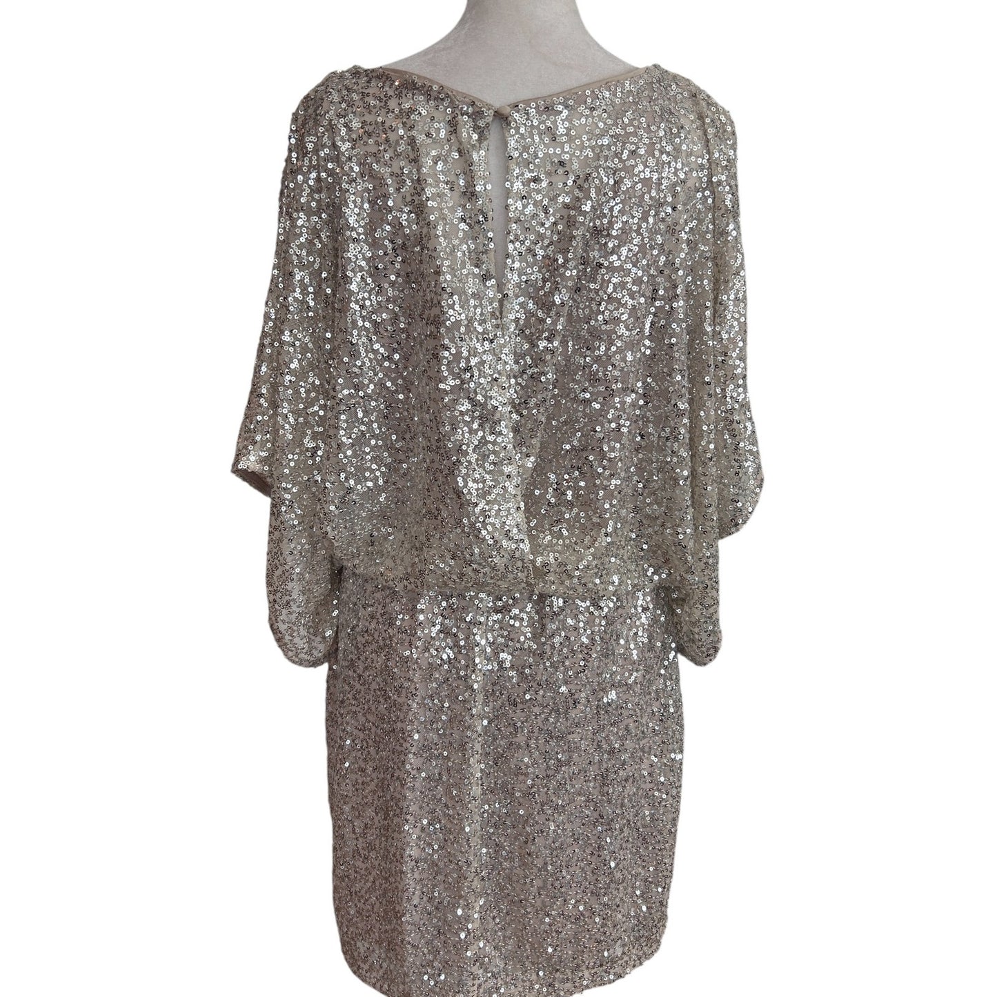 Jessica Howard Taupe and Silver Sequined Blouson Mini Dress Womens Size 12 P