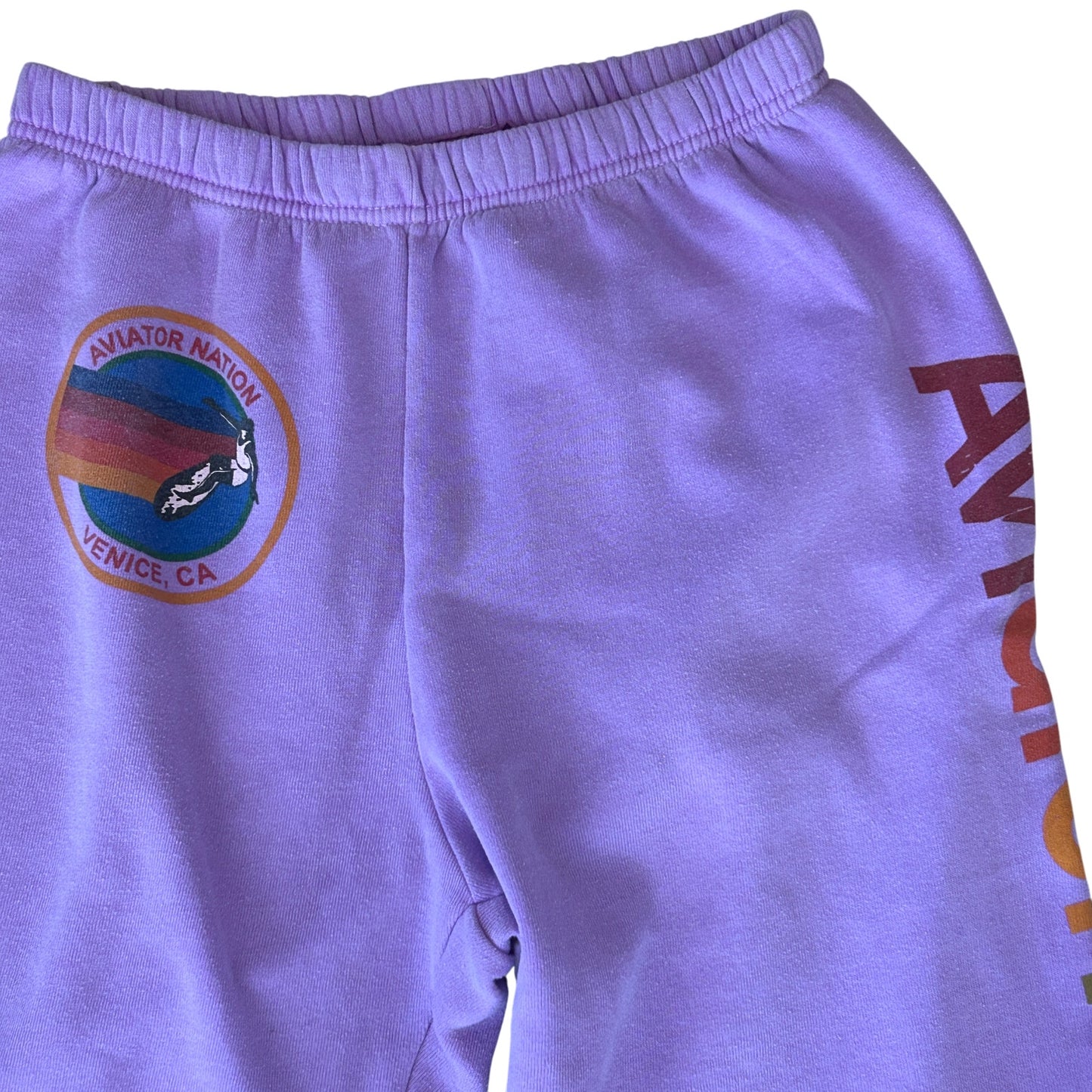 Aviator Nation Venice CA Purple Sweatpants Womens Size Large
